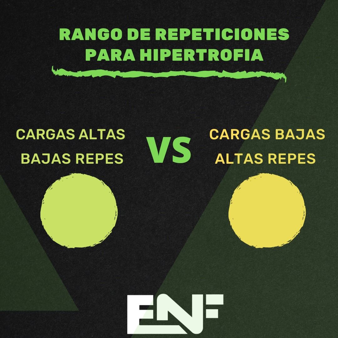 RANGO REPETICIONES E HIPERTROFIA 1